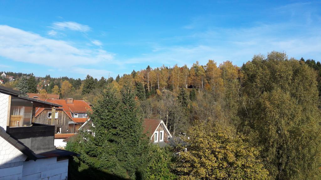 Prima Harzromantik